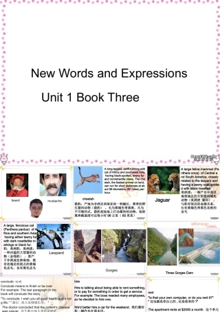 Unit1生词与词组讲解课件示例 人教版 课件