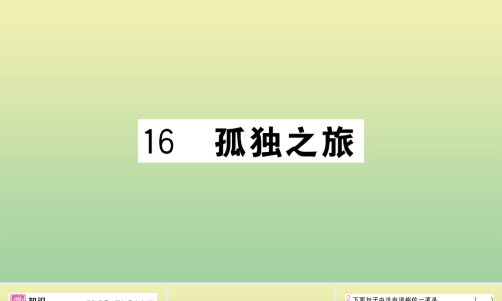 (河北专版)九年级语文上册 第四单元 16 孤独之旅作业课件 新人教版 课件
