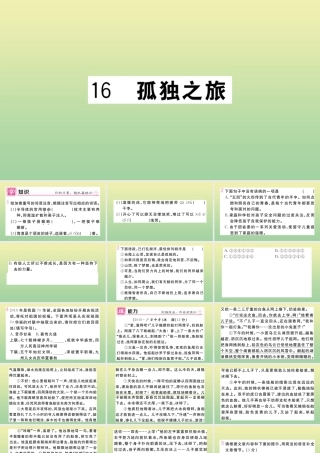 (河北专版)九年级语文上册 第四单元 16 孤独之旅作业课件 新人教版 课件