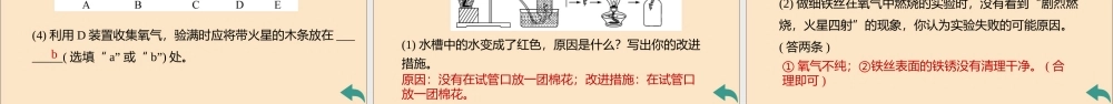 (河南专版)九年级化学上册 第二单元 我们周围的空气 实验活动1 氧气的实验室制取与性质习题讲评课件 (新版)新人教版 课件