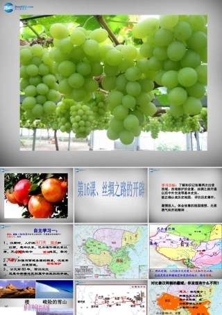 七年级历史上册 第16课 丝绸之路的开辟课件2 岳麓版 课件