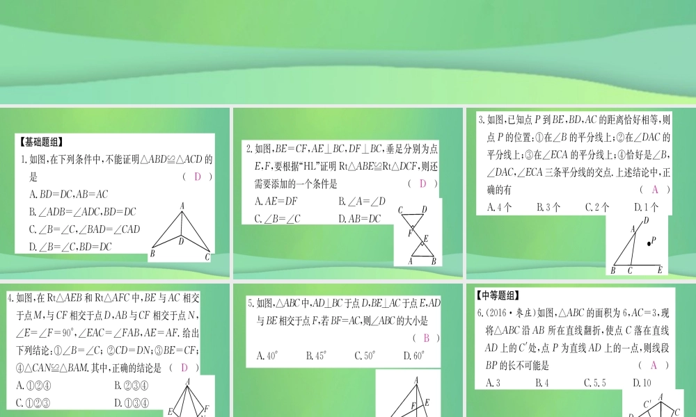 (江西专用)八年级数学上册 期末复习二 全等三角形作业课件 (新版)新人教版 课件