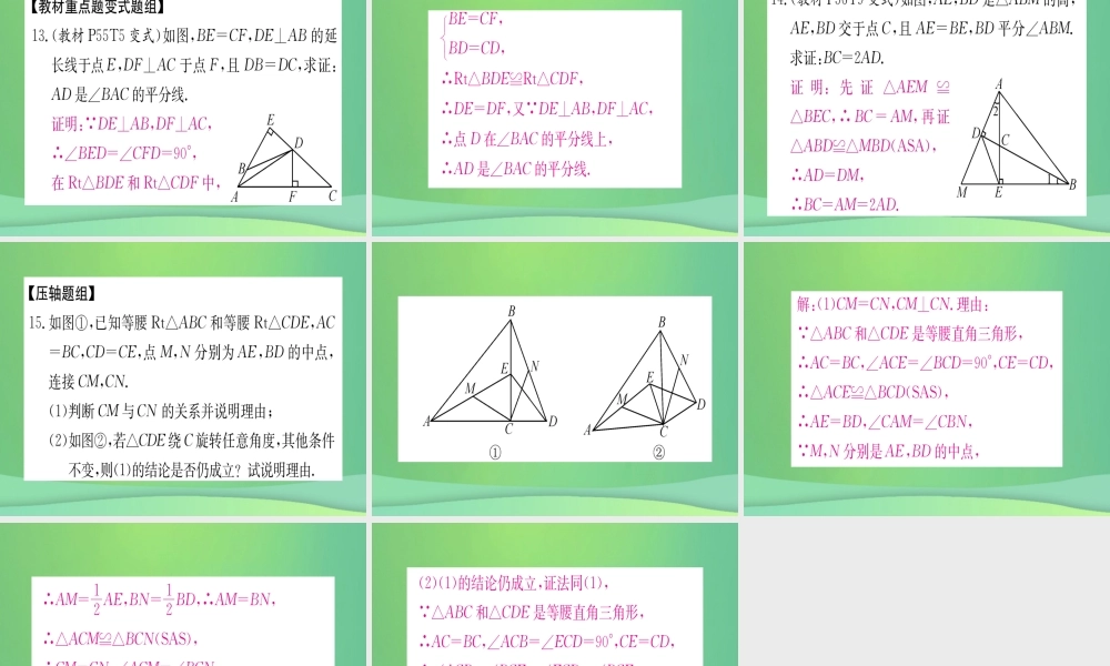 (江西专用)八年级数学上册 期末复习二 全等三角形作业课件 (新版)新人教版 课件