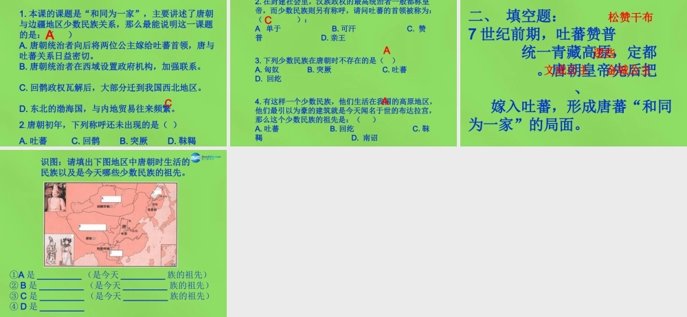 七年级历史下册 第5课(和同为一家)课件 新人教版 课件