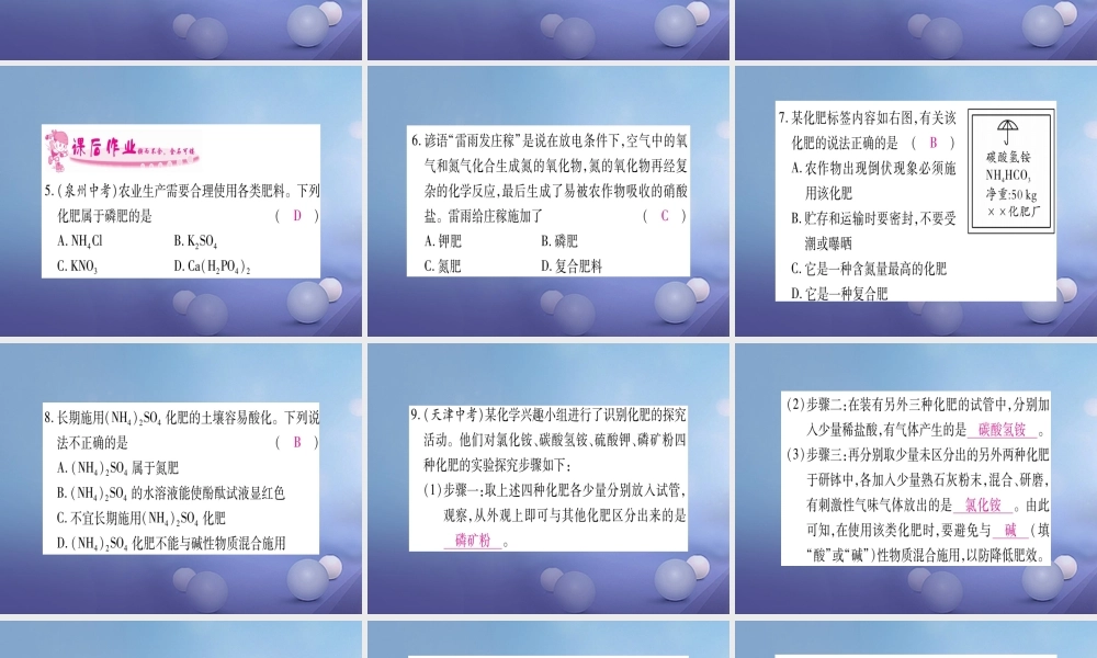 九年级化学下册 第十一单元 盐 化肥 112 化学肥料课件 (新版)新人教版 课件