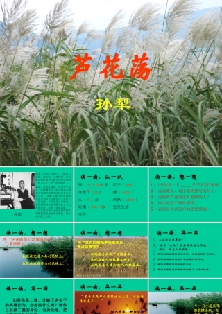 (芦花荡)教学课件5 八年级语文上册第一单元(芦花荡)课件7套人教版 八年级语文上册第一单元(芦花荡)课件7套人教版