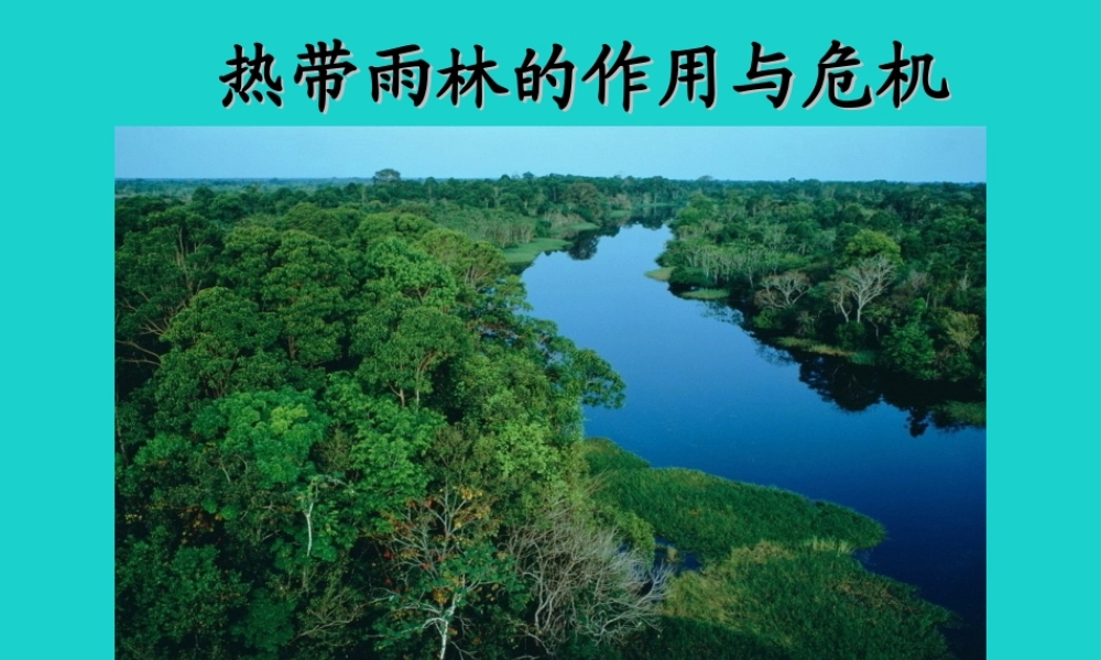 七年级地理下册 第八章 第五节 巴西 热点雨林的保护课件 (新版)商务星球版 课件