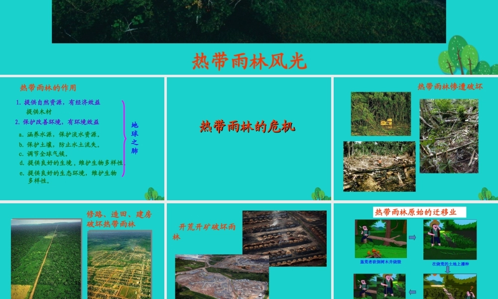 七年级地理下册 第八章 第五节 巴西 热点雨林的保护课件 (新版)商务星球版 课件