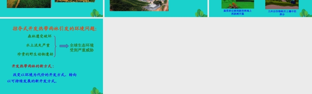 七年级地理下册 第八章 第五节 巴西 热点雨林的保护课件 (新版)商务星球版 课件