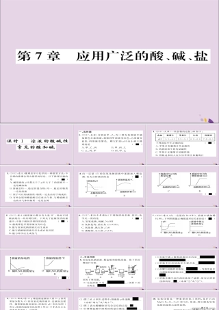 (遵义专版)中考化学总复习 第1编 教材知识梳理篇 第7章 应用广泛的酸、碱、盐 课时1 溶液的酸碱性 常见的酸和碱(精练)课件