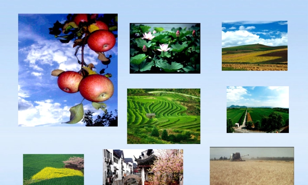 九年级化学下册 第十一单元课题2 化学肥料课件 人教新课标版 课件