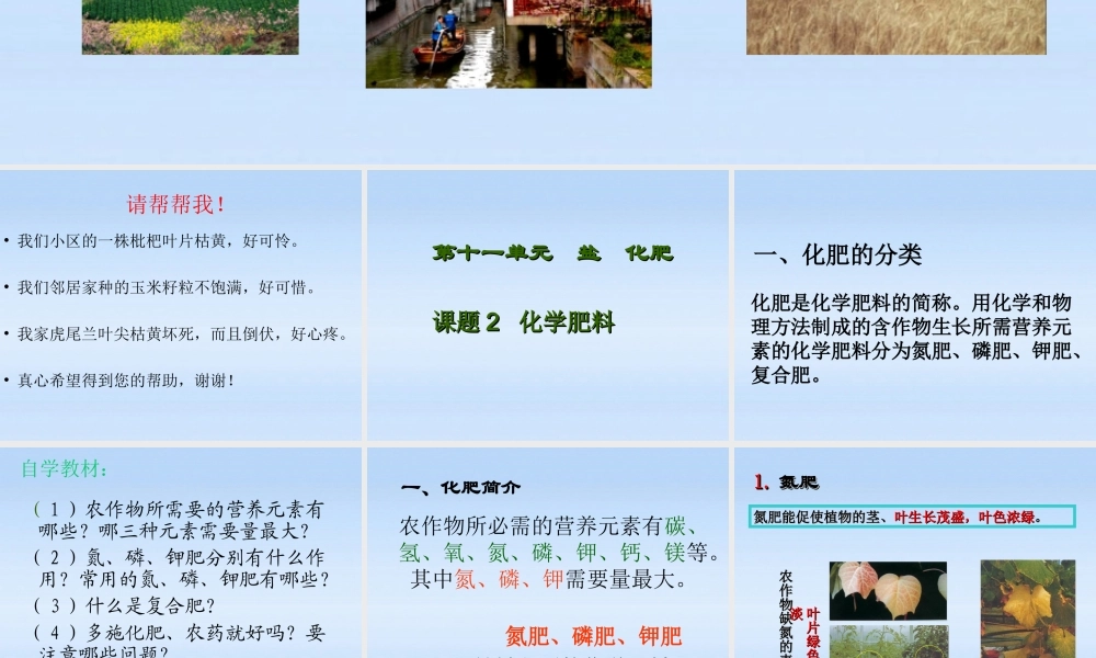 九年级化学下册 第十一单元课题2 化学肥料课件 人教新课标版 课件