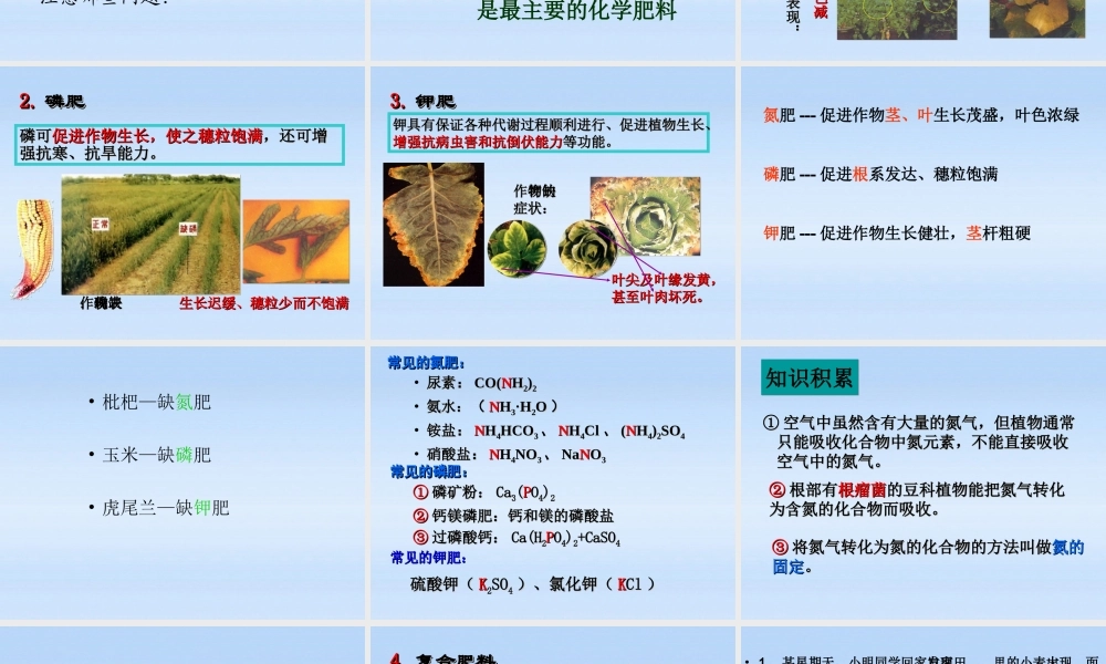 九年级化学下册 第十一单元课题2 化学肥料课件 人教新课标版 课件