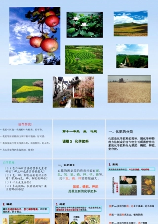 九年级化学下册 第十一单元课题2 化学肥料课件 人教新课标版 课件