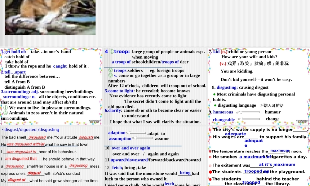 Unit14 Zoology 新课标 人教版 课件