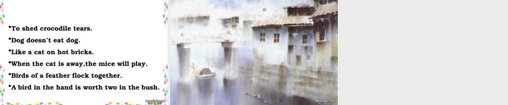 Unit14 Zoology 新课标 人教版 课件