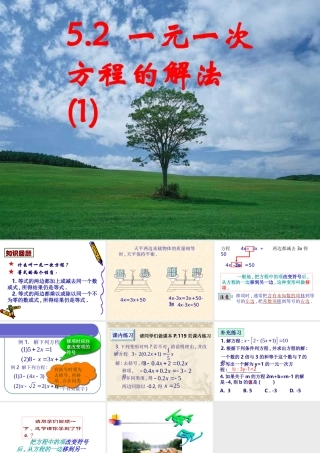 5.2 一元一次方程的解法(1) 七年级上册第五章整套课件 浙教版