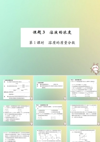 九年级化学下册 第九单元 溶液 课题3 溶液的浓度 第1课时 溶质的质量分数习题课件 (新版)新人教版 课件