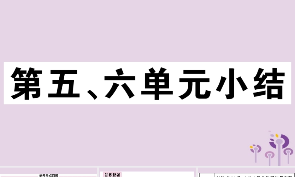 (玉林专版)八年级历史下册 第五、六单元小结习题课件 新人教版 课件