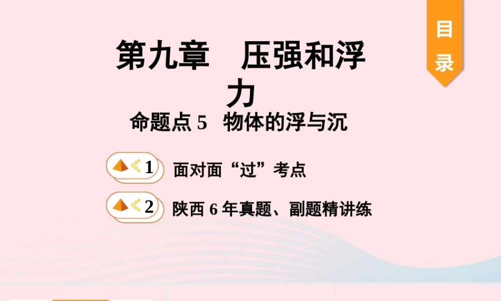 中考物理一轮复习 基础考点一遍过 第十章 压强和浮力 命题点5 物体的浮与沉课件