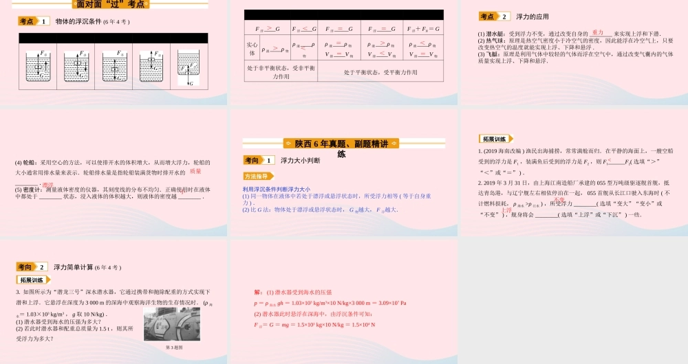 中考物理一轮复习 基础考点一遍过 第十章 压强和浮力 命题点5 物体的浮与沉课件