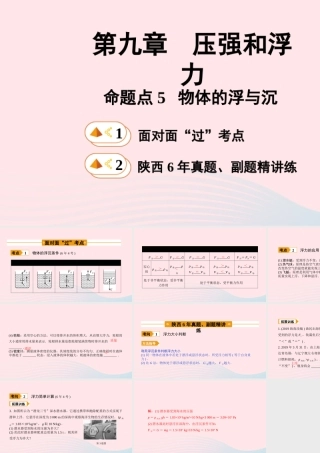 中考物理一轮复习 基础考点一遍过 第十章 压强和浮力 命题点5 物体的浮与沉课件