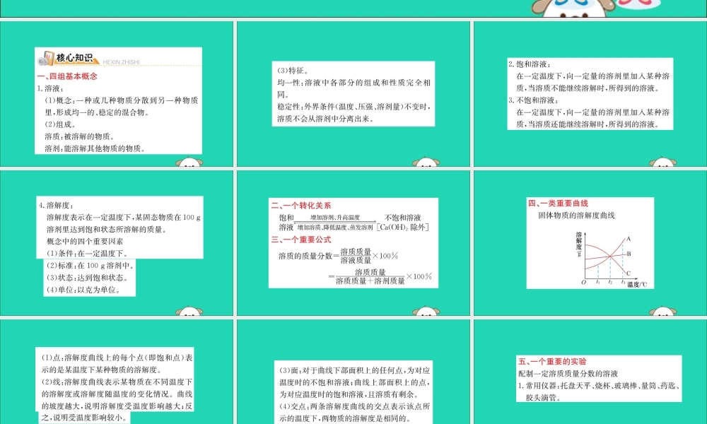 九年级化学下册 期末抢分必胜课 第九单元 溶液课件 (新版)新人教版 课件