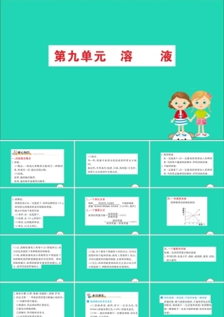 九年级化学下册 期末抢分必胜课 第九单元 溶液课件 (新版)新人教版 课件