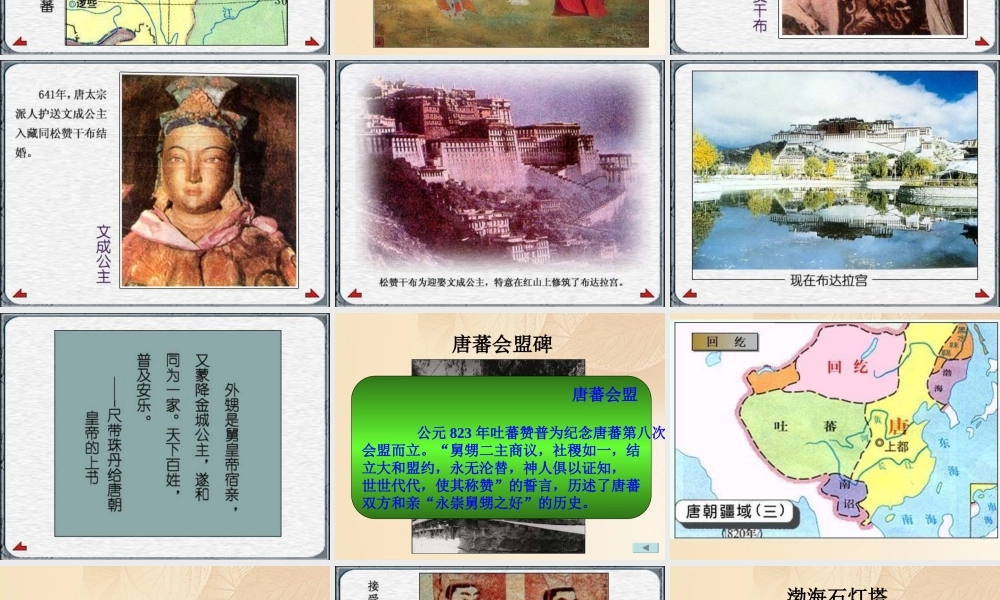 七年级历史下册 第5课 和同为一家 素材 新人教版 素材