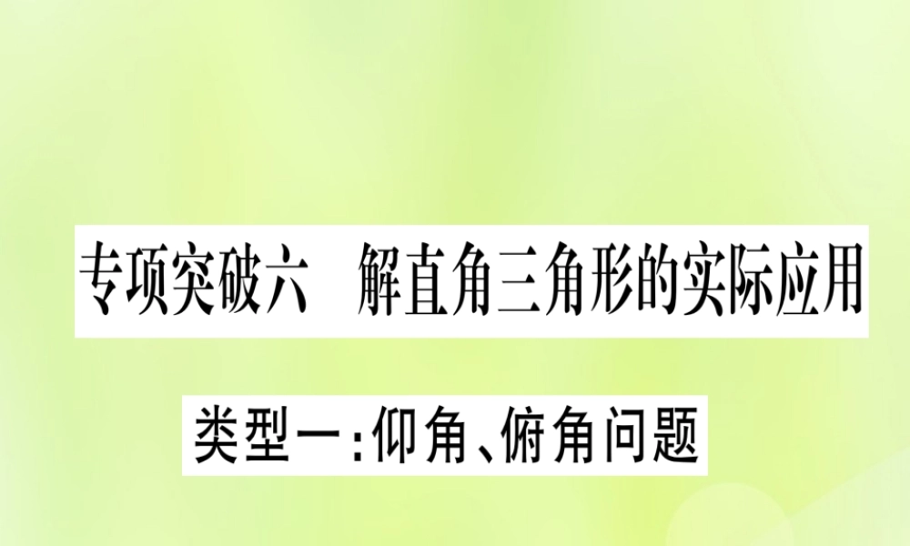 (湖北专用版)版中考数学总复习 第二轮 专项突破6 解直角三角形的实际应用 类型1 仰角、俯角问题实用课件