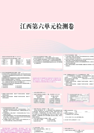 (江西专版)文下册 第六单元检测卷课件 新人教版 课件
