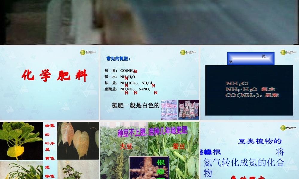 九年级化学下册 第11单元 课题2 化学肥料课件 新人教版 课件