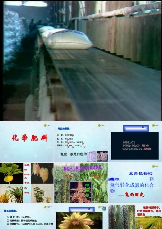 九年级化学下册 第11单元 课题2 化学肥料课件 新人教版 课件