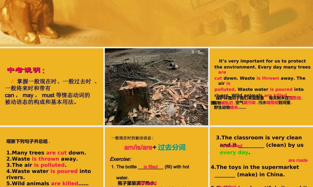 中考英语语法考点专题复习11 被动语态课件1 课件