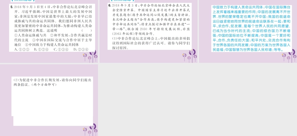 中考道德与法治总复习 板块六 中国外交课件