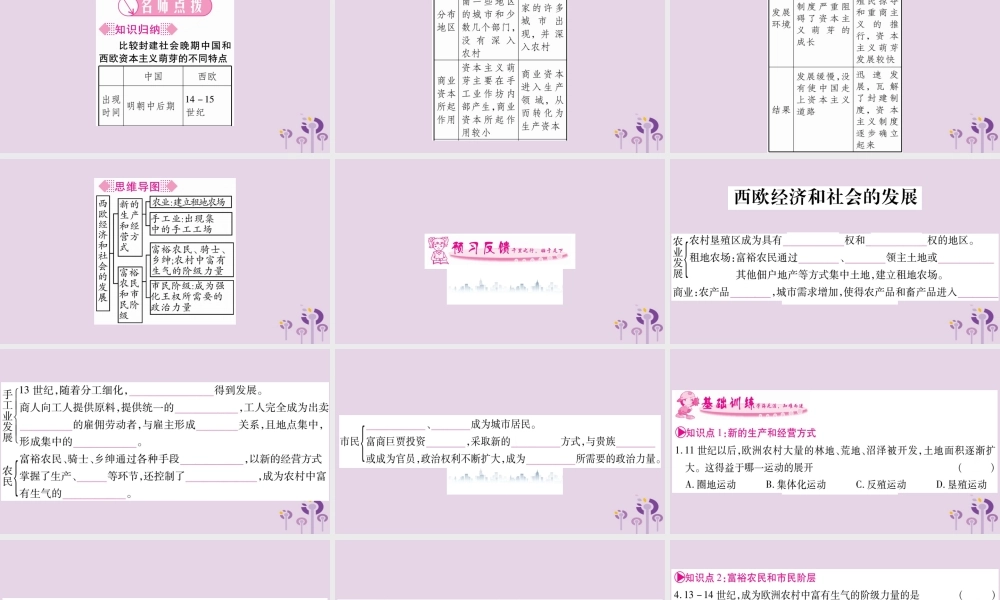 九年级历史上册 第5单元 步入近代 第13课 西欧经济和社会的发展习题课件 新人教版 课件