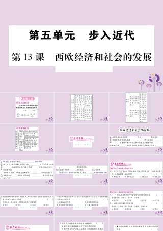 九年级历史上册 第5单元 步入近代 第13课 西欧经济和社会的发展习题课件 新人教版 课件