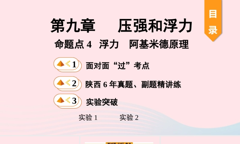 中考物理一轮复习 基础考点一遍过 第十章 压强和浮力 命题点4 浮力 阿基米德原理课件