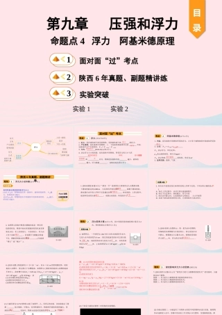 中考物理一轮复习 基础考点一遍过 第十章 压强和浮力 命题点4 浮力 阿基米德原理课件