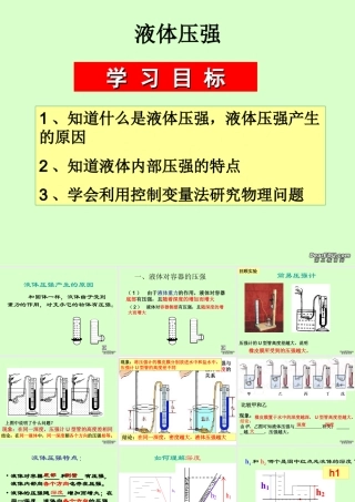 中考物理液体压强复习课件 粤教沪版 课件