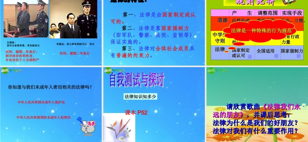 七年级政治下册 第七单元第一课(特殊保护)课件 粤教版 课件