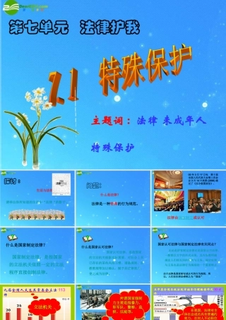 七年级政治下册 第七单元第一课(特殊保护)课件 粤教版 课件