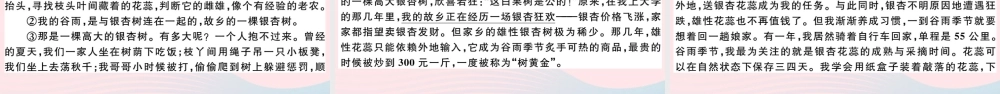 (通用版)文下册 第二单元检测卷课件 新人教版 课件