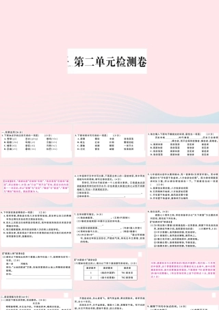 (通用版)文下册 第二单元检测卷课件 新人教版 课件
