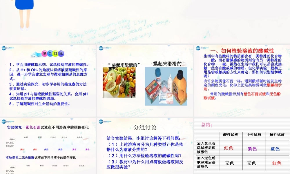 九年级化学下册 73 溶液的酸碱性课件 (新版)鲁教版 课件