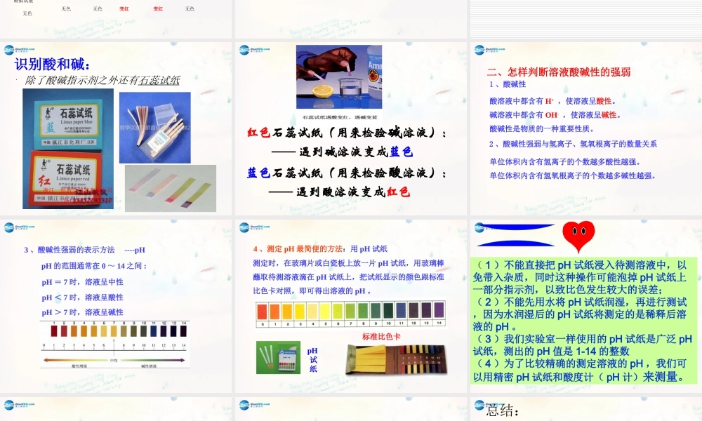 九年级化学下册 73 溶液的酸碱性课件 (新版)鲁教版 课件