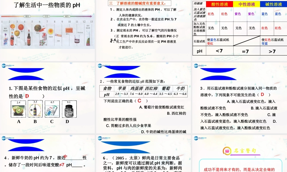 九年级化学下册 73 溶液的酸碱性课件 (新版)鲁教版 课件