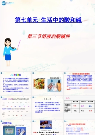 九年级化学下册 73 溶液的酸碱性课件 (新版)鲁教版 课件