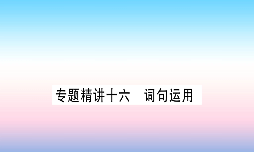 中考英语准点备考 专题精讲十六 词句运用课件