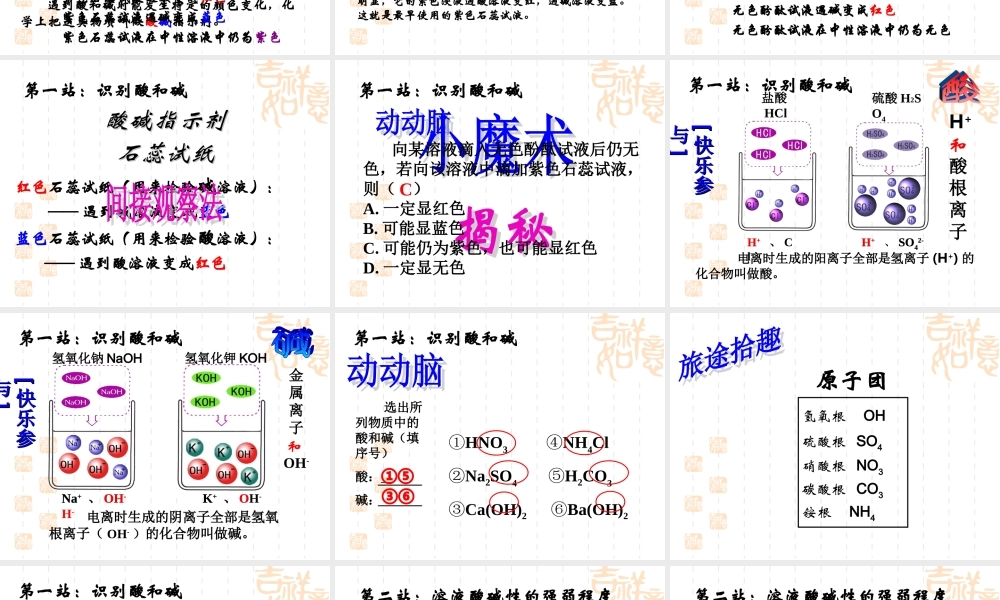 九年级化学第一节 生活中的酸和碱课件